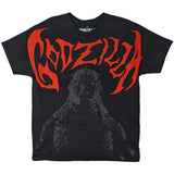 Godzilla & Mothra Metal Max Print Graphic T-Shirt