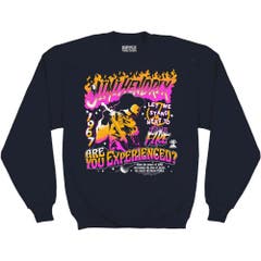 Hoodies and Sweatshirts Jimi Hendrix Are You Experienced Sweatshirt Jimi Hendrix Music