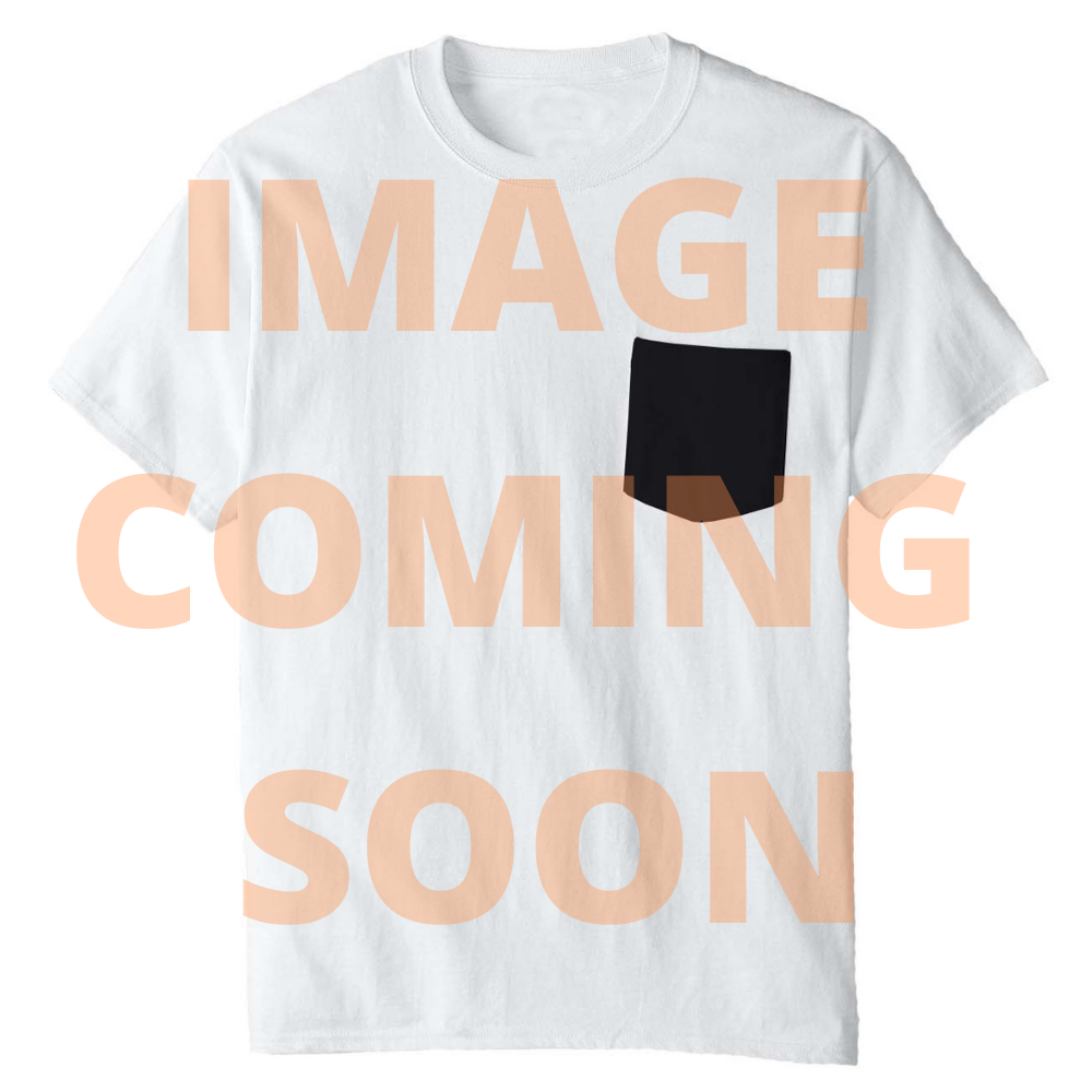 aaliyah concert t shirt